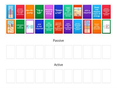 Passive vs Active Transport