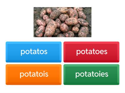 Plural (explain the rules)