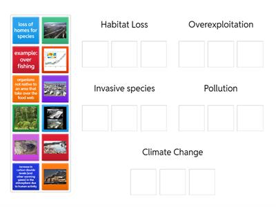 Human Impact on Biodiversity Sorting