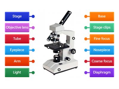 Labeling Microscope