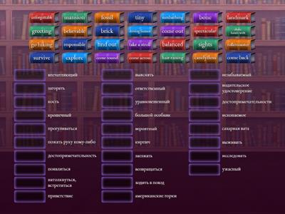 Spotlight 7 Module 6 Vocabulary 