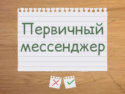 Мембранный транспорт гормонов