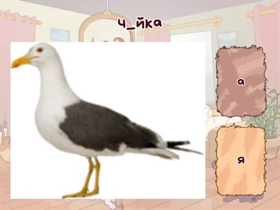 Жи-ши, ча-ща, чу-щу