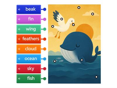 The Bird and the Whale