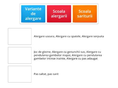 Lectia de educatie fizica