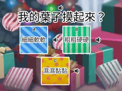 樹葉精靈_國小甲