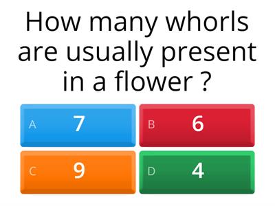 The Flower Quiz