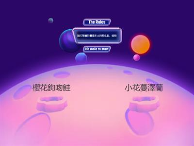 翰林社會6上ch1動、植物資源