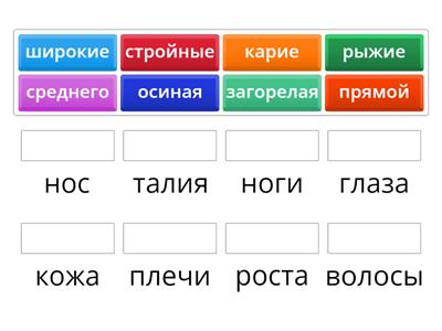 В1, 1.3 - внешность