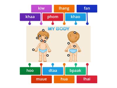 Body Parts in Thai