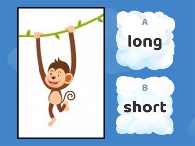 Long/short