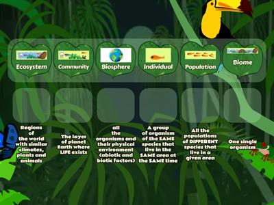 Ecological Levels of Organization - Definitions 