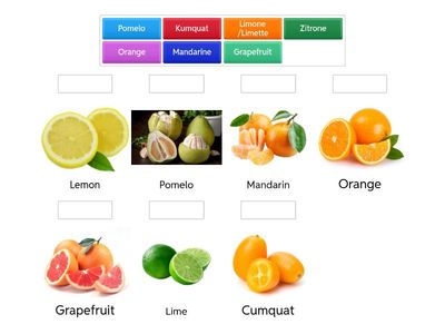 Zitrusfrüchte/Citrus fruits Deutsch/Englisch