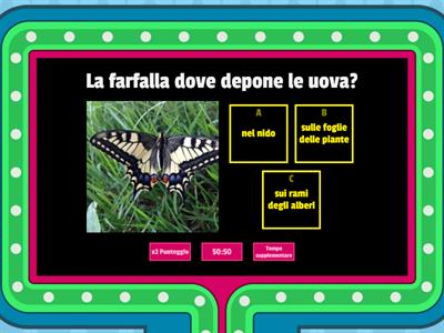 Il ciclo vitale della farfalla