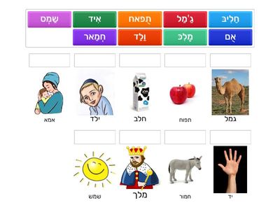  עברית ערבית - שפות אחיות 