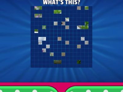 ANIMALS QUIZ KINDER 2025