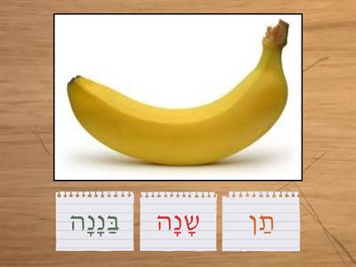 צלילים ש-ב-ת-נ-ן-ה