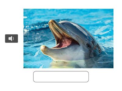 04 UNIT 2 - VOCABULARY I (writing)