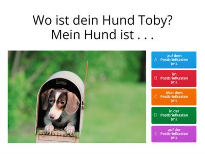 A1E6 Wo ist dein Hund? - Lokalpräpositionen mit Dativ