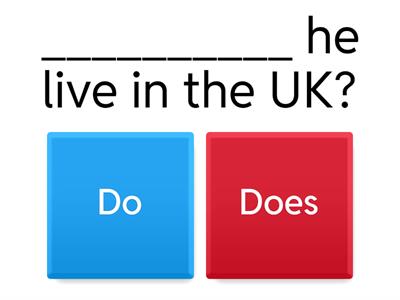 Present simple - do/does questions