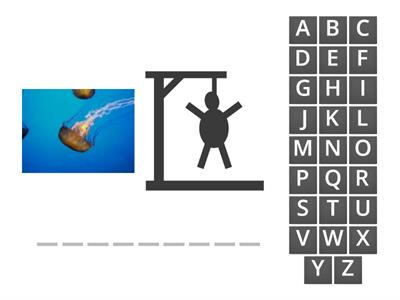 Help to find the correct answer KG2,3