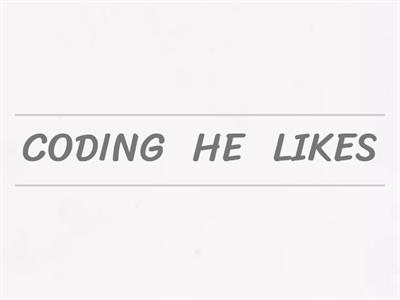 He/She likes/doesn't like...