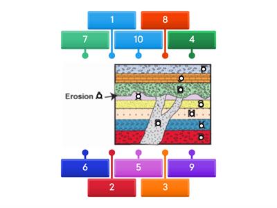 Relative Dating Practice #2