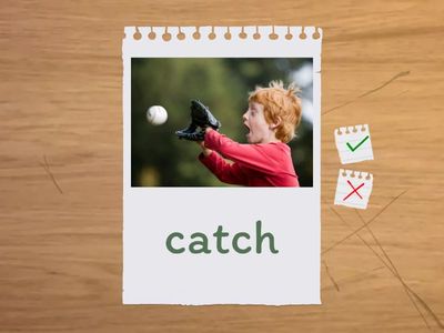 Max the cat irregular verbs part 2