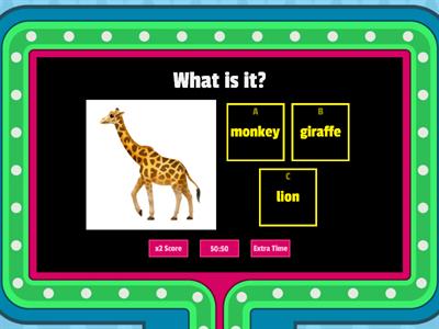 Animals - Gameshow quiz