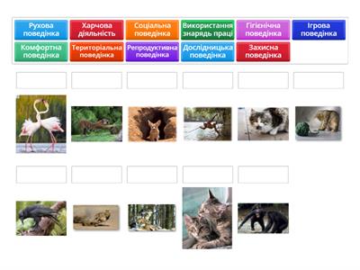 Форми поведінки тварин (НУШ)