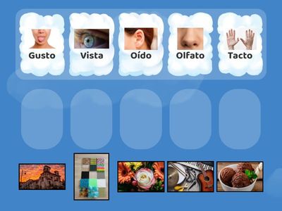 Detectives de los cinco sentidos