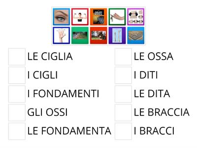 PLURALI DOPPI ITALIANO B2, L2