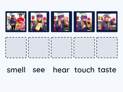PU1 Unit 2 Cross-curicular - Senses 