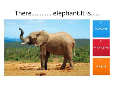 Тест для дітей 10-13 років