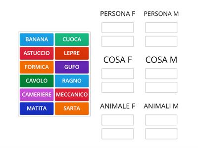 Metti a posto i nomi