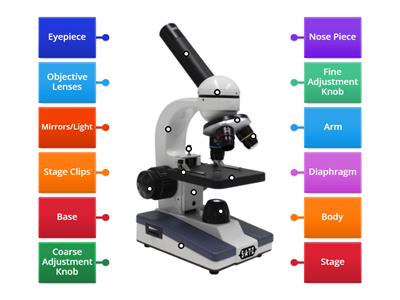 Microscope Project