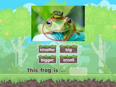 wow 3 unit 3 big bigger small smaller