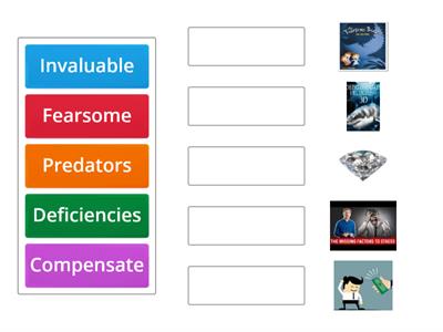 MG5 U1 VOCABULARY BUILDING 