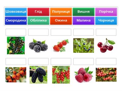 Ягоди. 1-4 класи.