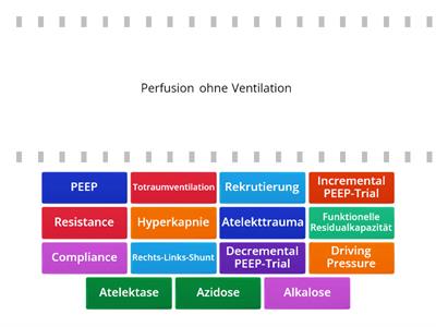 PEEP-Optimierung und Beatmung