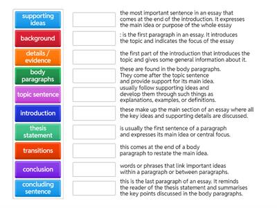 Essay Structure 