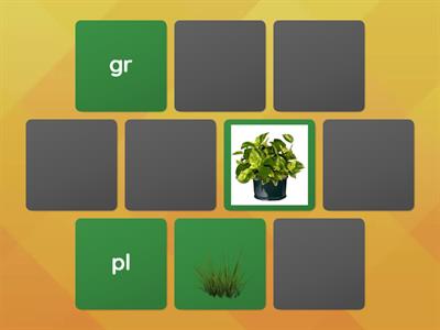 Word / Picture Matching