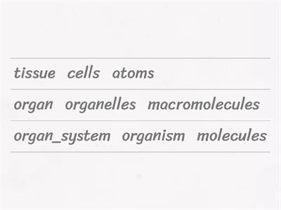 K Biological Organization: Smallest to Largest