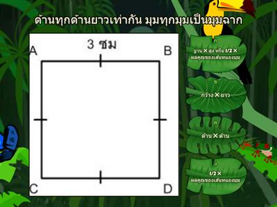  ป.6 พื้นที่รูปสี่เหลี่ยม (ทดสอบ)