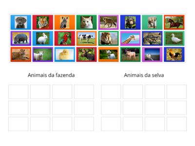 Classificação de Animais