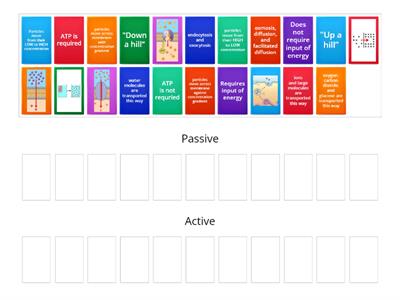 Passive vs Active Transport