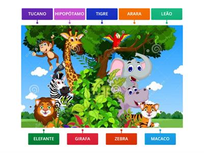 QUAL É O NOME DOS ANIMAIS?