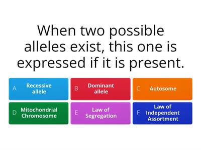  Mendelian Inheritance