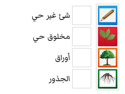  مراجعة علوم اول ابتدائي