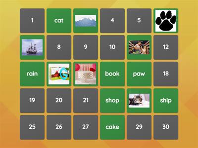 CVC, digraphs, magic e matching